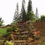 “paula's stairs” (<a href='/inquire.php?gallery=wallrock&file=paulas_stairs.jpg&caption=paula's stairs'>Inquire about this piece</a>)<br />info: north shore kauai<br />price: 4 love