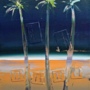 “april palms” (<a href='/inquire.php?gallery=beach&file=DSC07682.jpg&caption=april palms'>Inquire about this piece</a>)<br />info: 20x24<br />price: $350