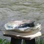 “ceramic on st vrain” (<a href='/inquire.php?gallery=ceramic&file=060710_026.jpg&caption=ceramic on st vrain'>Inquire about this piece</a>)<br />price: nfs